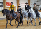 Schaubild von Barockpferden mit Reiter/-innen in historischen Kostümen
